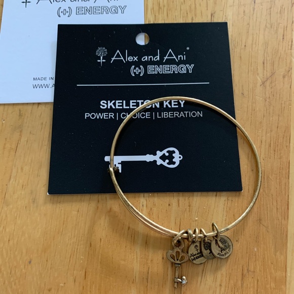 Alex & Ani Bracelet - Picture 1 of 1